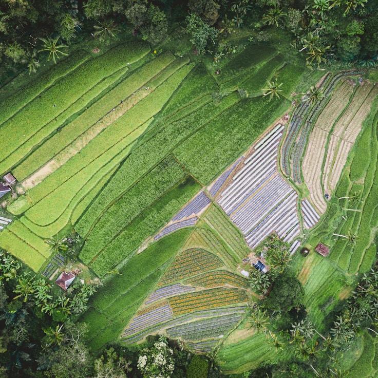 Kids playground area in Canada